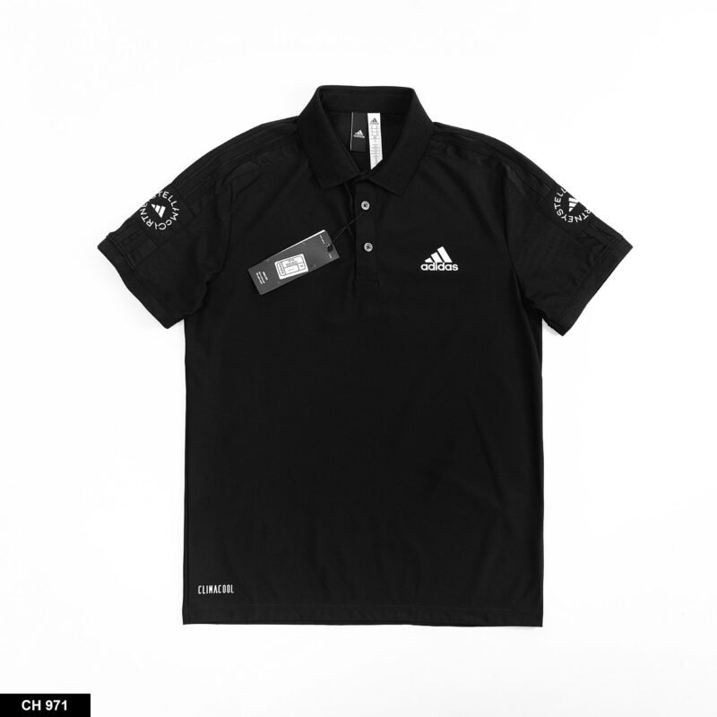 AC 5501 - POLO - Hình ảnh 3