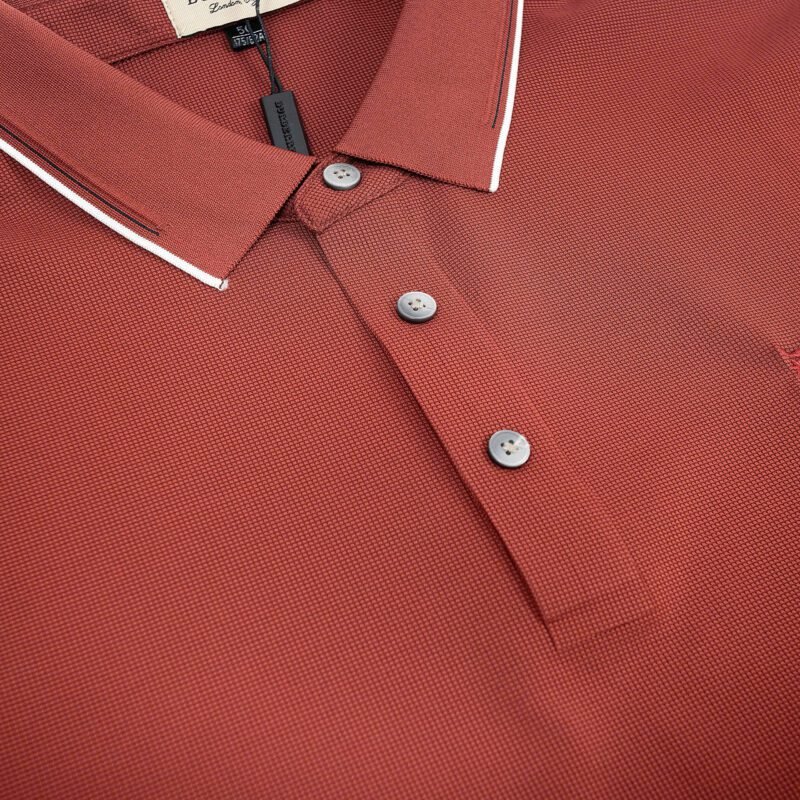 A67A -POLO - Hình ảnh 3