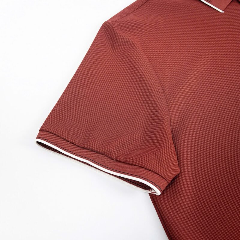 A67A -POLO - Hình ảnh 5