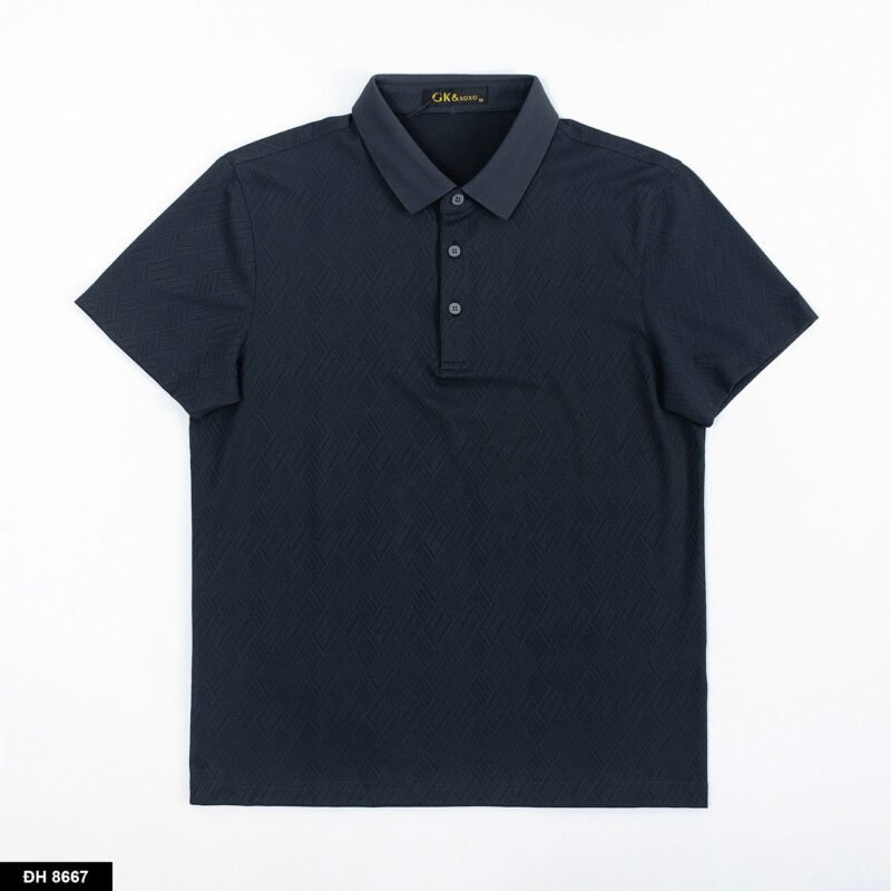 ĐH 8667 -POLO - Hình ảnh 6