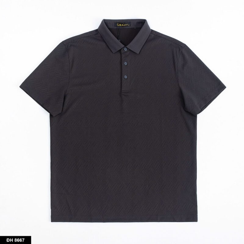 ĐH 8667 -POLO - Hình ảnh 8