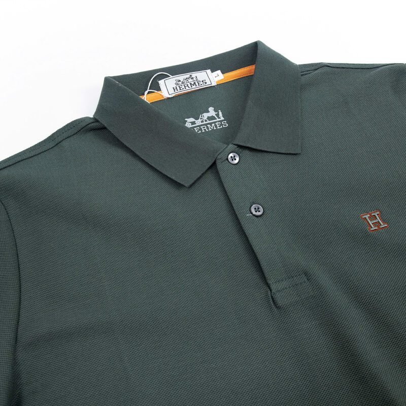 ML 6696 - POLO - Hình ảnh 2