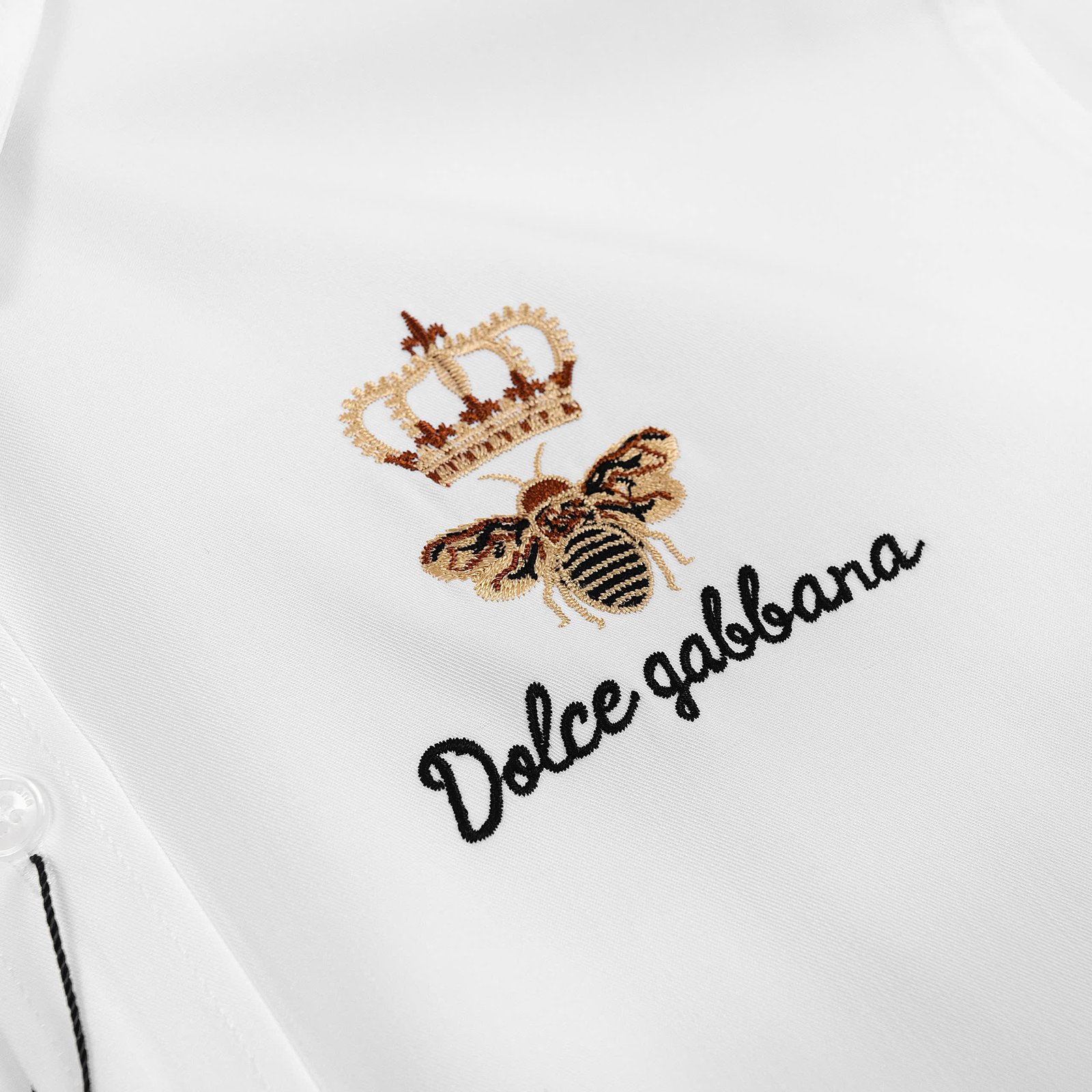 z7003926211005_21608bea83a09f931a1d0fda8c5a75fb