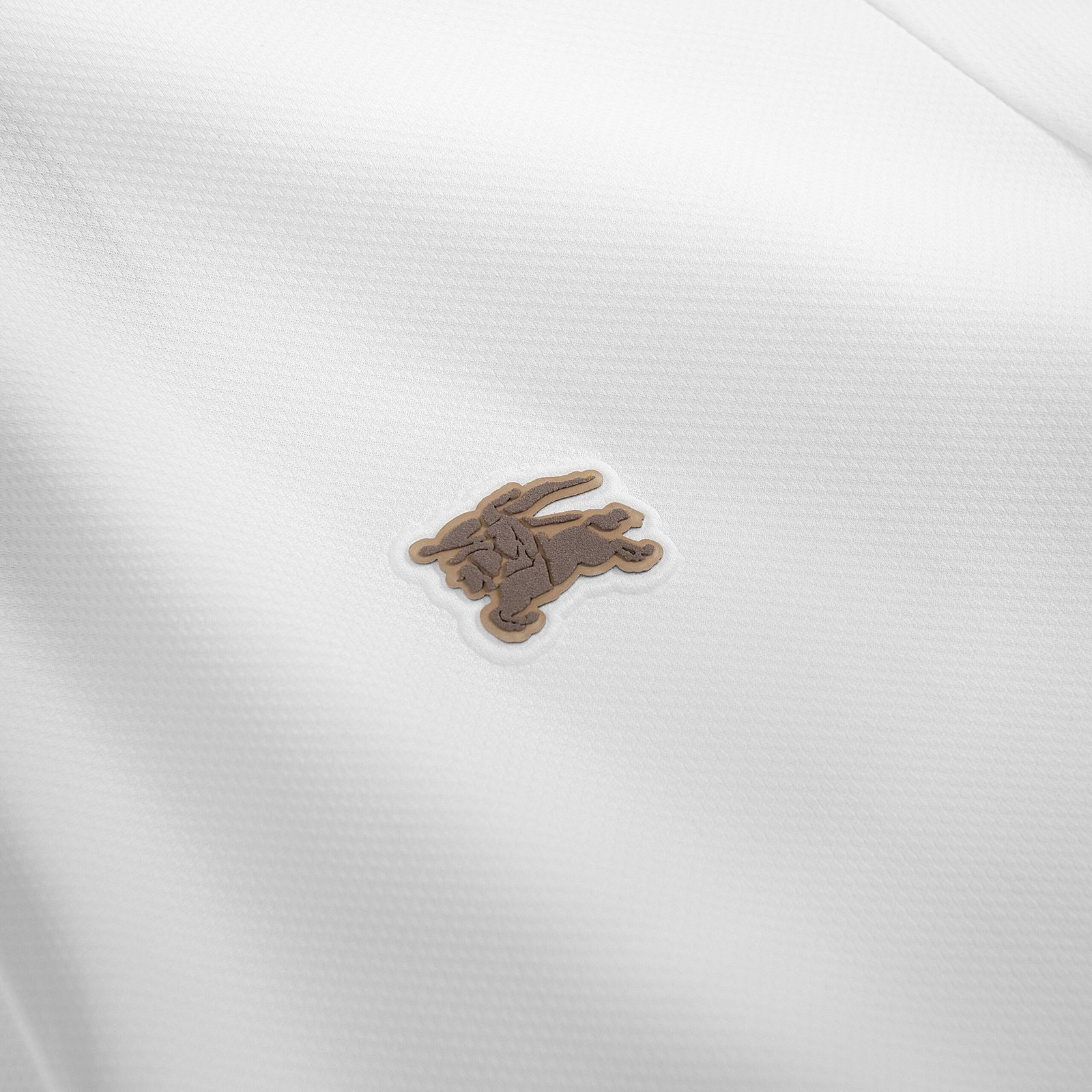 z7693041762308_fc880a2d35e293176ae203cc5872db21